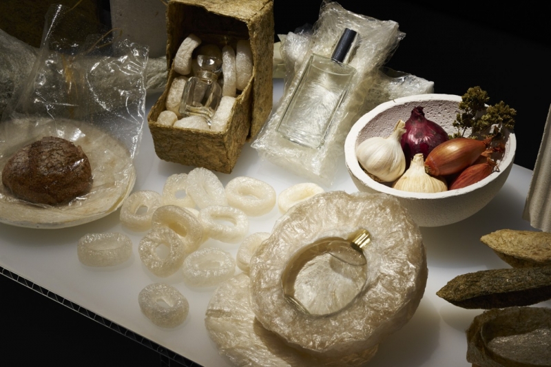 agar_prototype_01_1