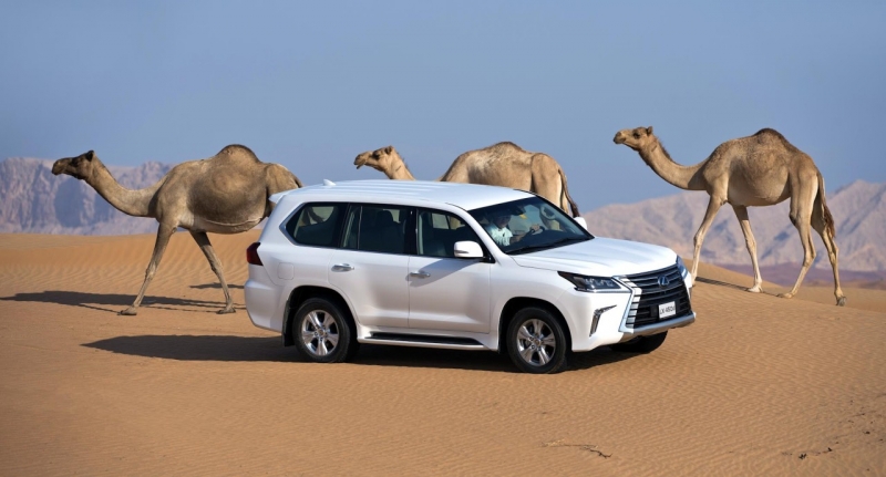 Lexus LX © Lexus