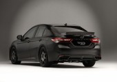 2017 Truex © Toyota