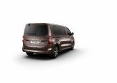 large_proace_02