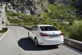 large_corolla_dyn_24_dpl_2013