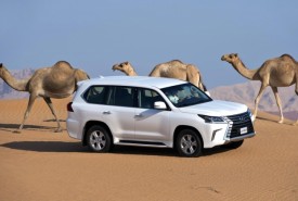 Lexus LX © Lexus