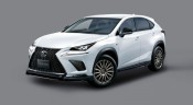 Lexus NX 2018 TRD body kit