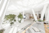 Lexus Dome