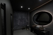 Lexus Dome