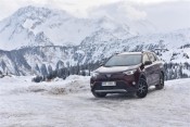 toyota_rav4_hybrid_bordo_5881