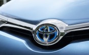 auris_41
