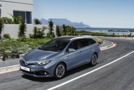 large_auris_loc_08_dpl_2015_3_4_high_ts