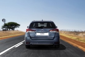large_auris_loc_10_dpl_2015_fullrear_ts