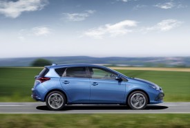 auris_20